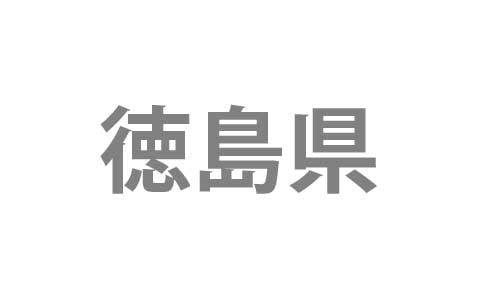東京都江東区から徳島県三好市へ