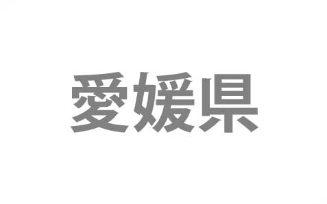 東京都新宿区から愛媛県松山市へ
